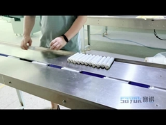 Empaquetadora 220v de la purificación del flujo horizontal automático del cartucho