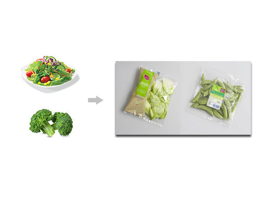 Maquinaria de envasado de aislamiento de relleno vegetal de la balanza de la ensalada de la alta exactitud